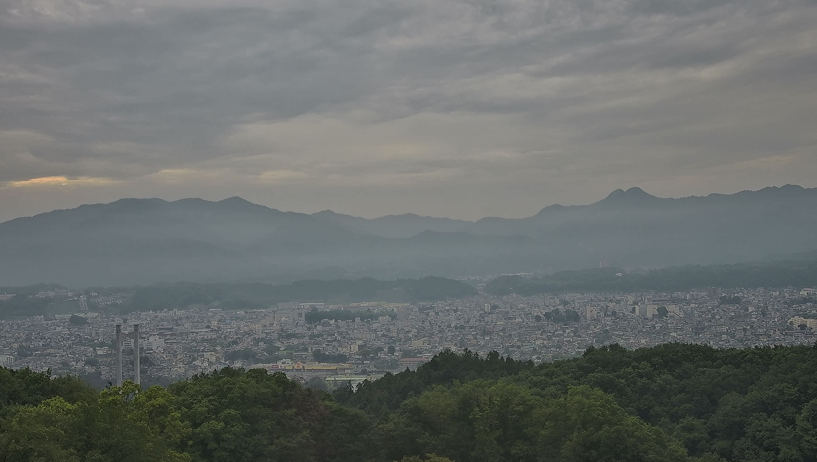 秩父雲海カメラ 2026/07/12 06:02