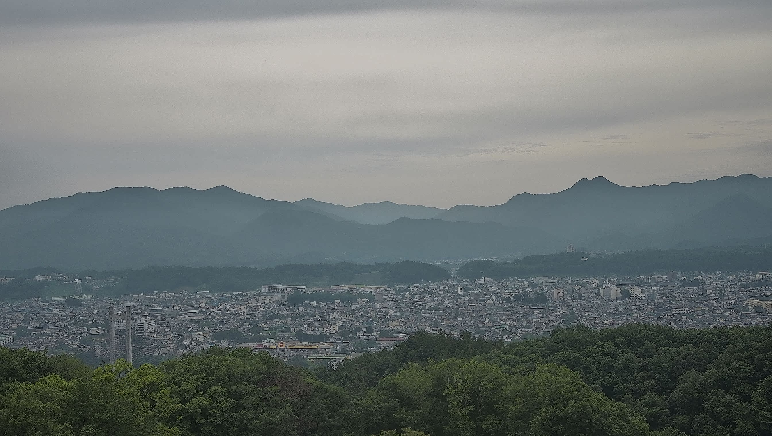 秩父雲海カメラ 2026/07/12 08:52