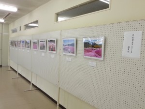 芝桜写真コンクール展覧会