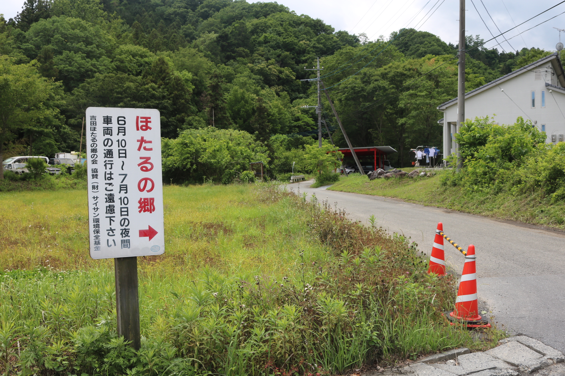 ☆下吉田関地区のホタル観賞へお越しのお客様へ 秩父観光なび スタッフブログ