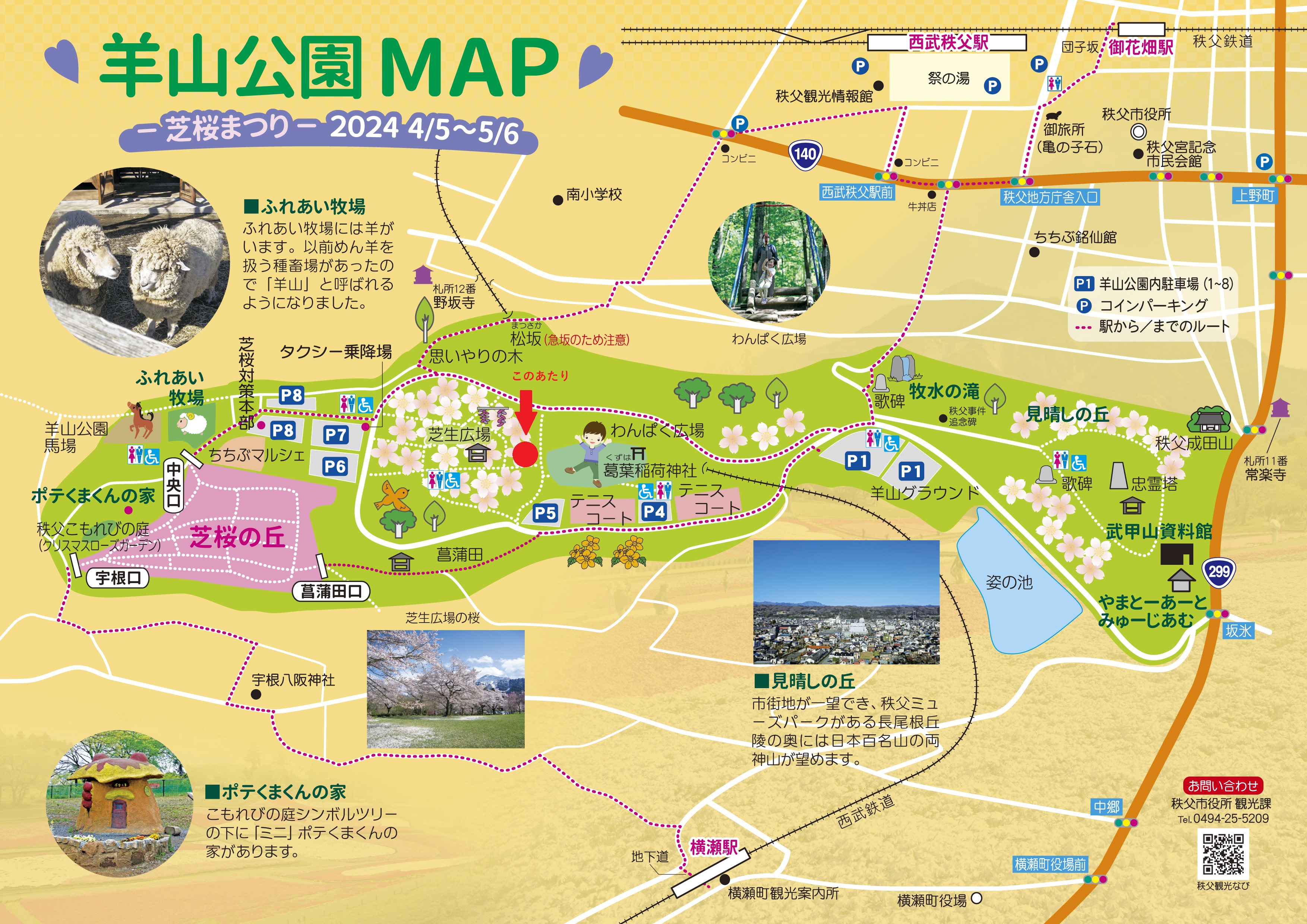 羊山公園「御衣黄（ギョイコウ）」が見頃です！ | 秩父観光なび