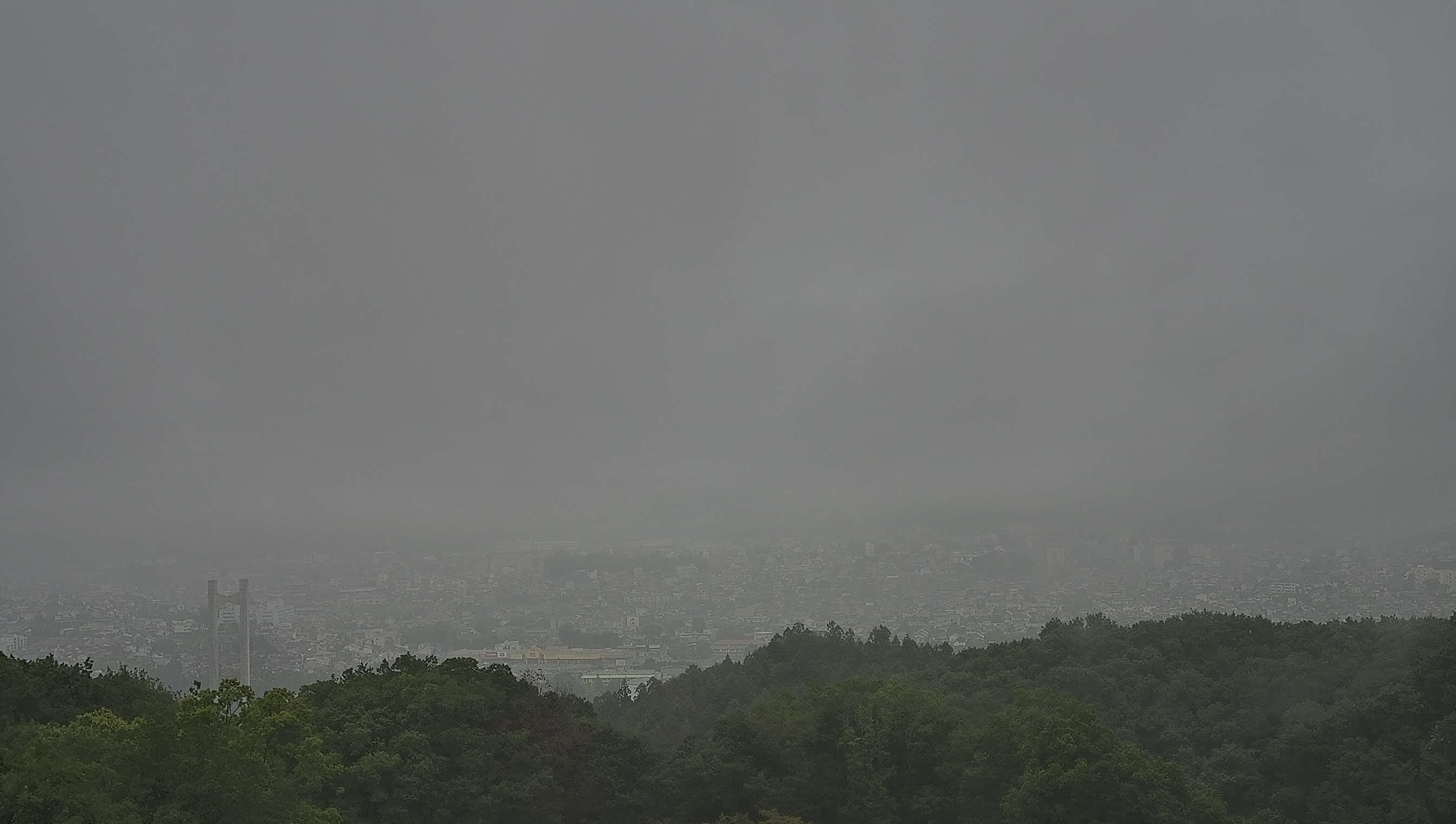 秩父雲海カメラ 2026/07/04 06:03
