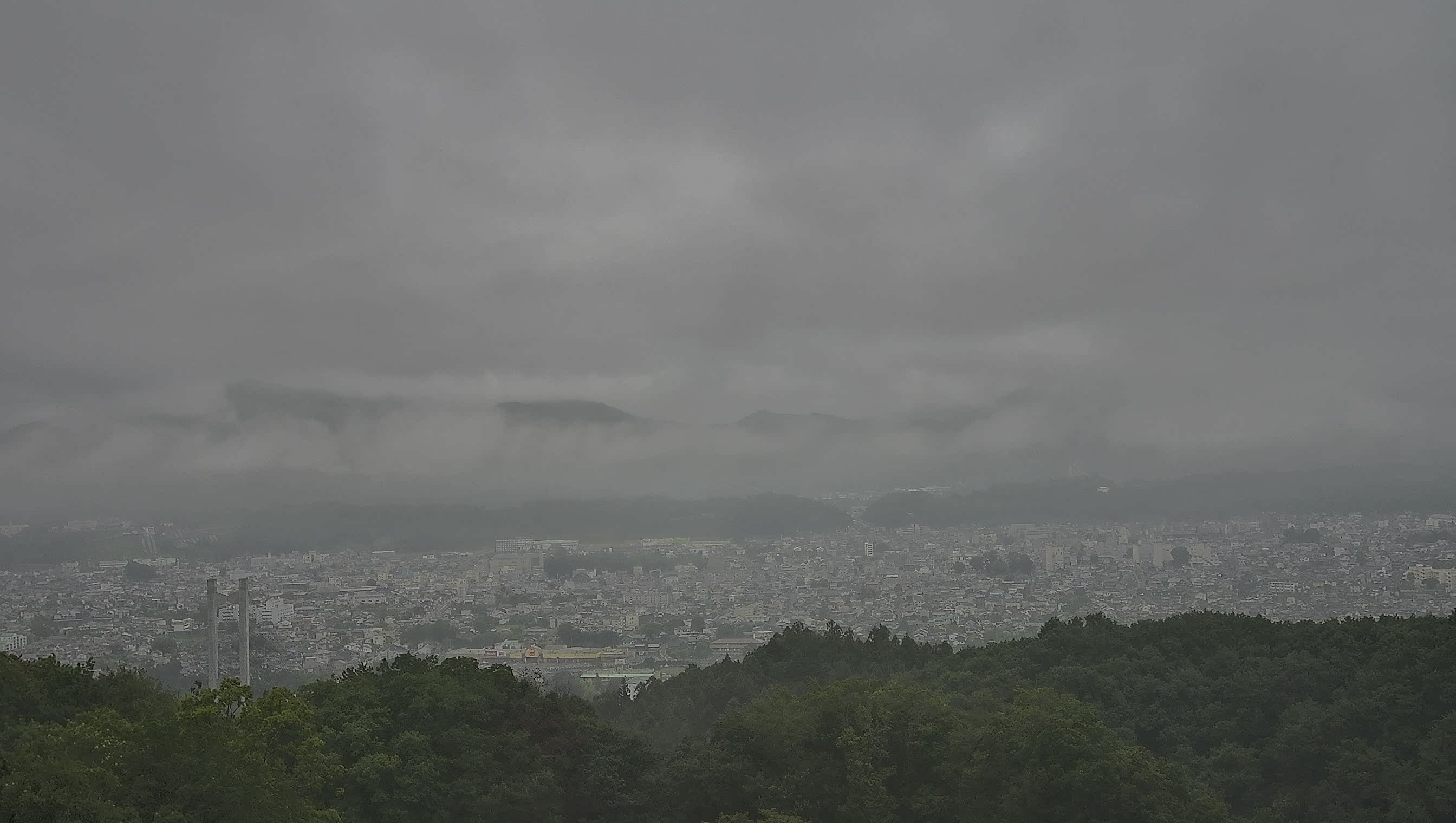 秩父雲海カメラ 2026/07/28 06:00