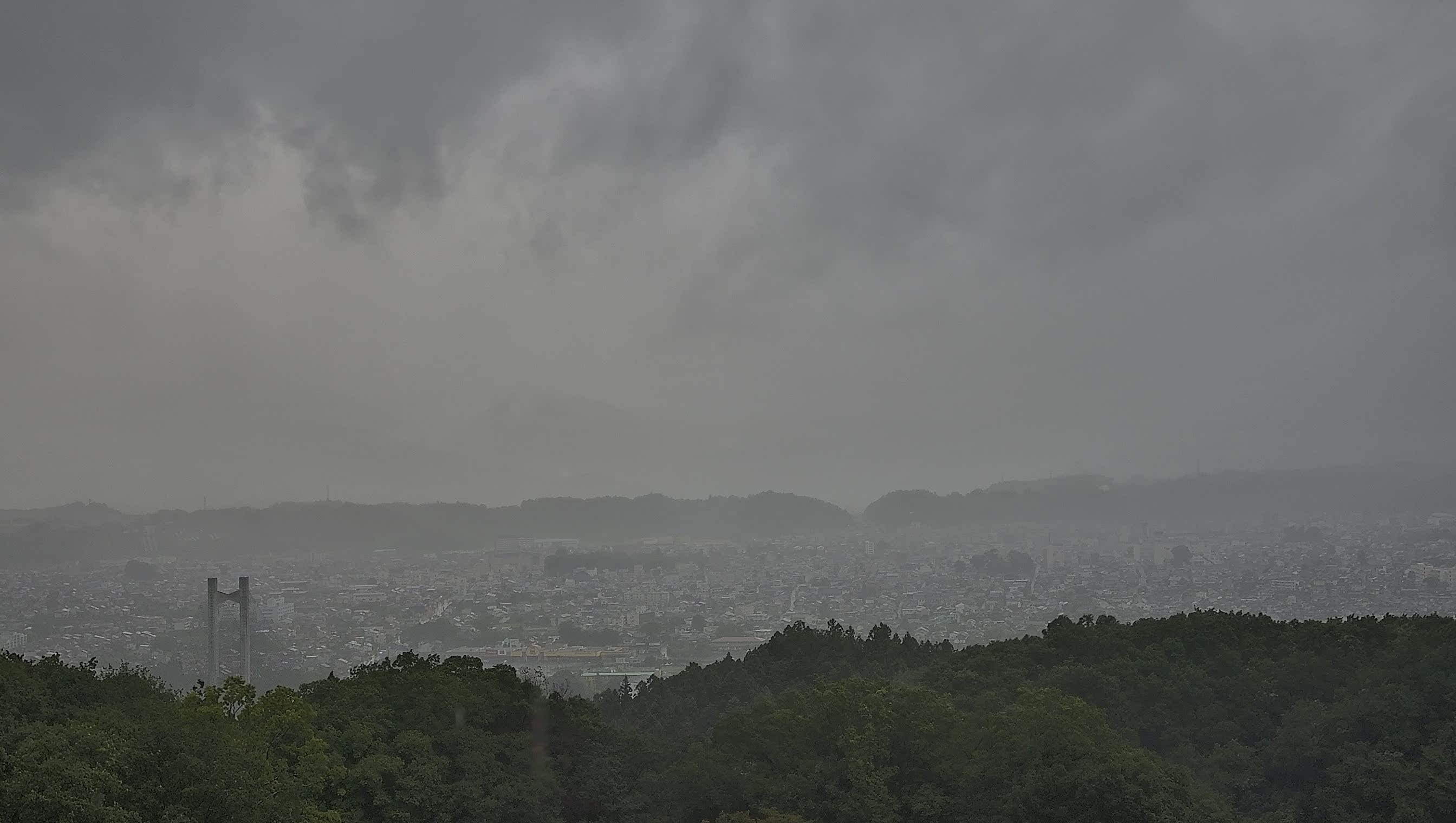 秩父雲海カメラ 2026/08/12 06:02