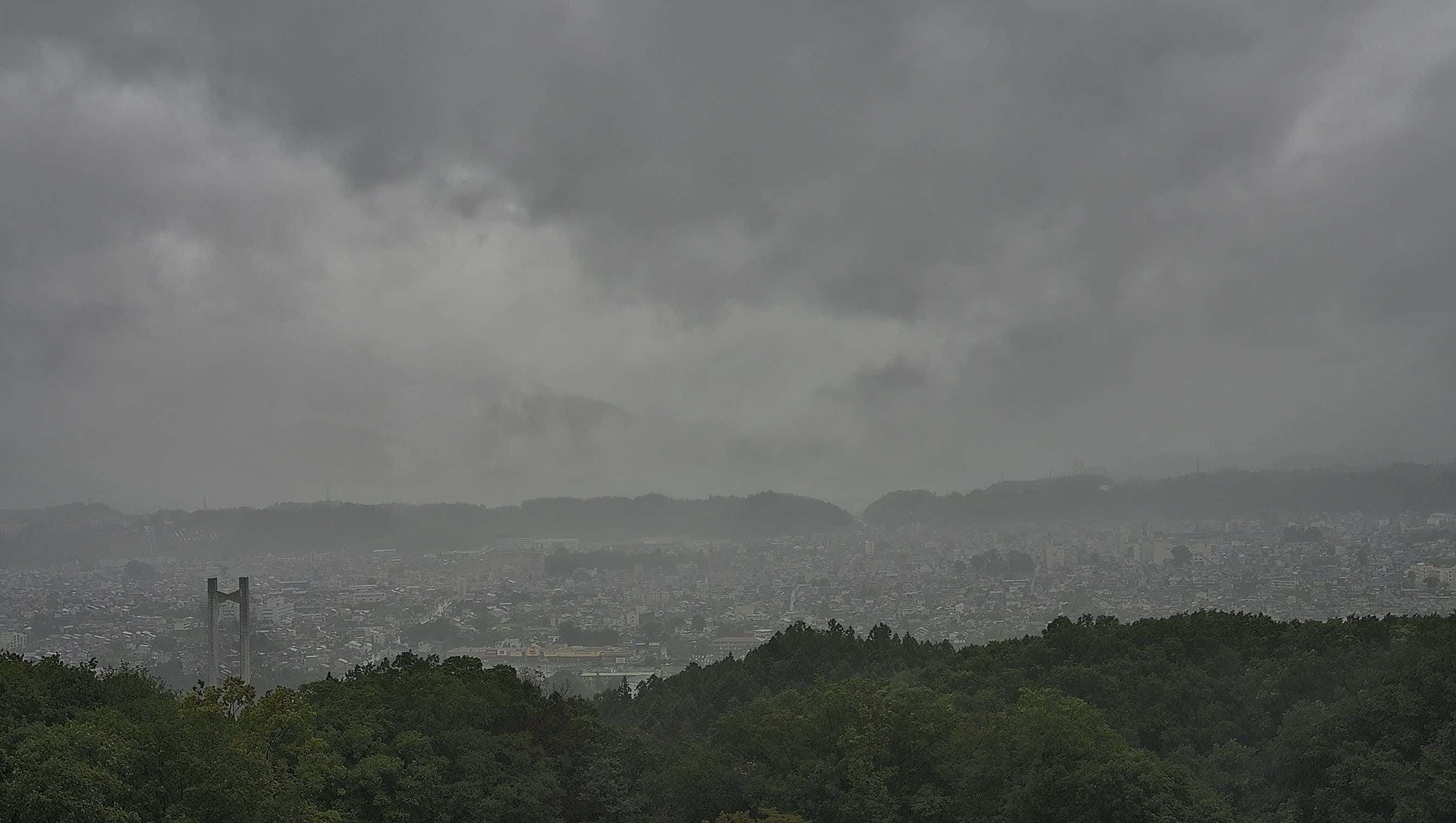 秩父雲海カメラ 2026/08/12 08:27