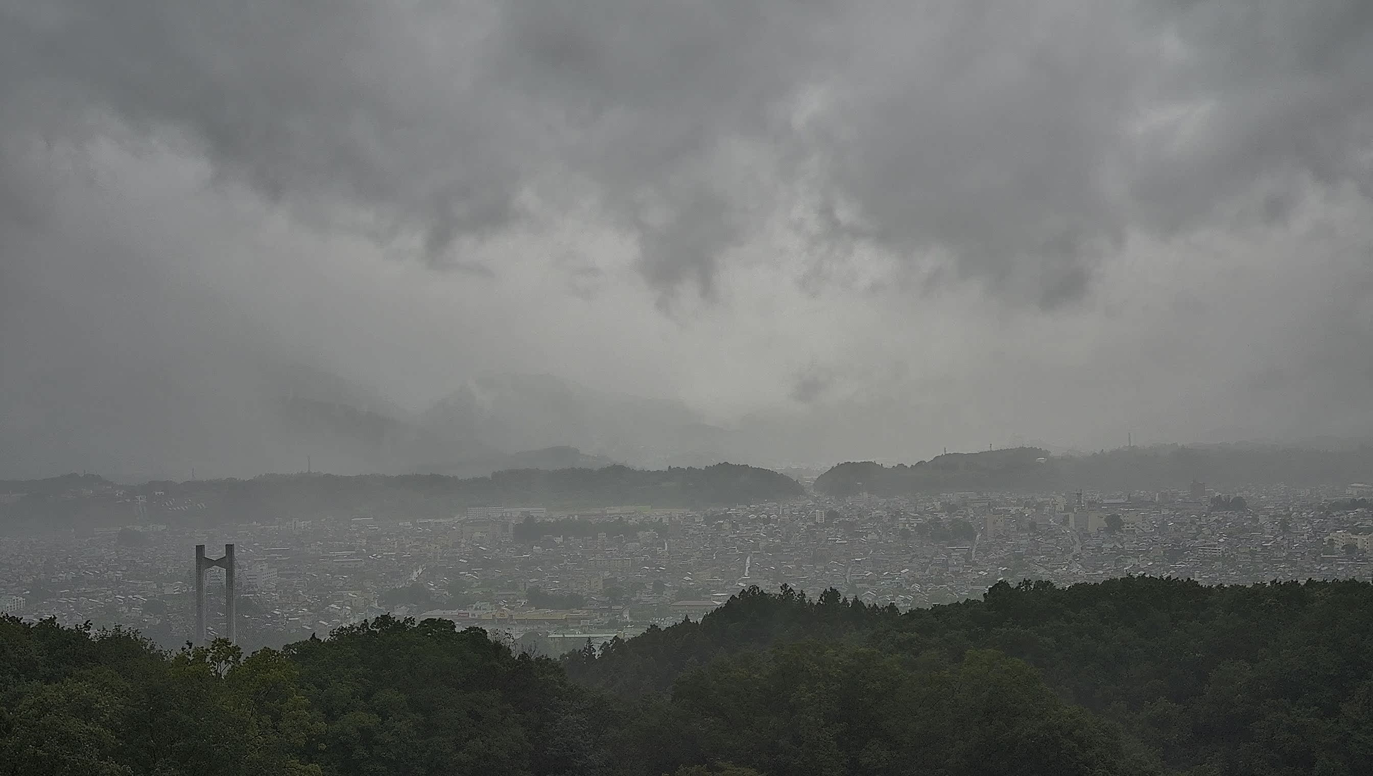秩父雲海カメラ 2026/08/12 08:32