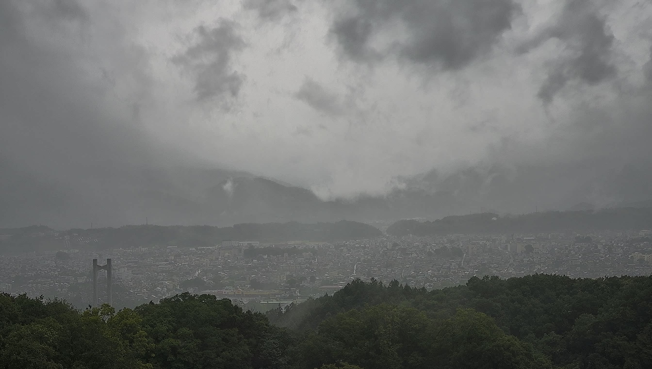 秩父雲海カメラ 2026/08/12 08:37