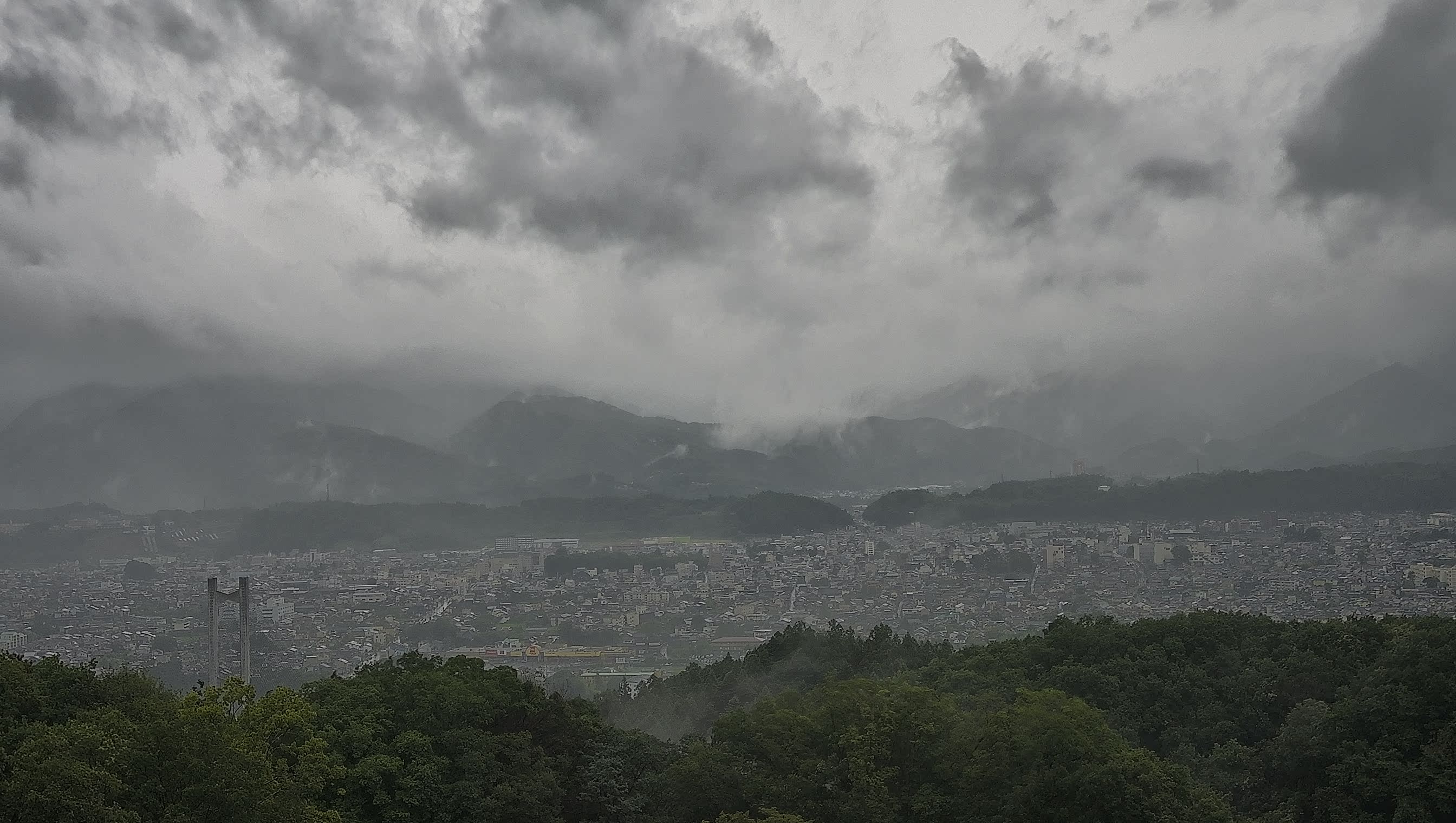 秩父雲海カメラ 2026/08/12 08:42