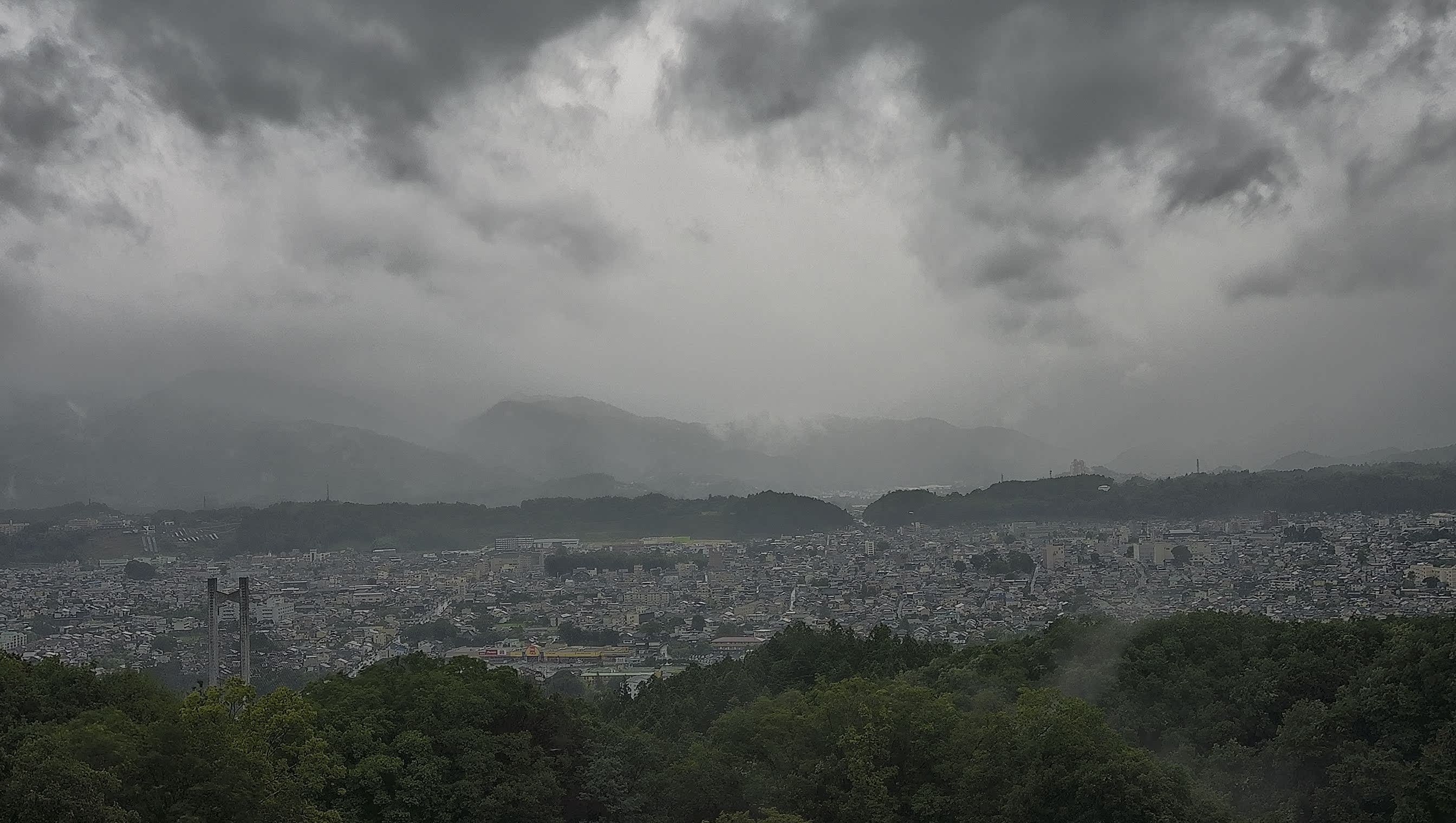 秩父雲海カメラ 2026/08/12 08:47
