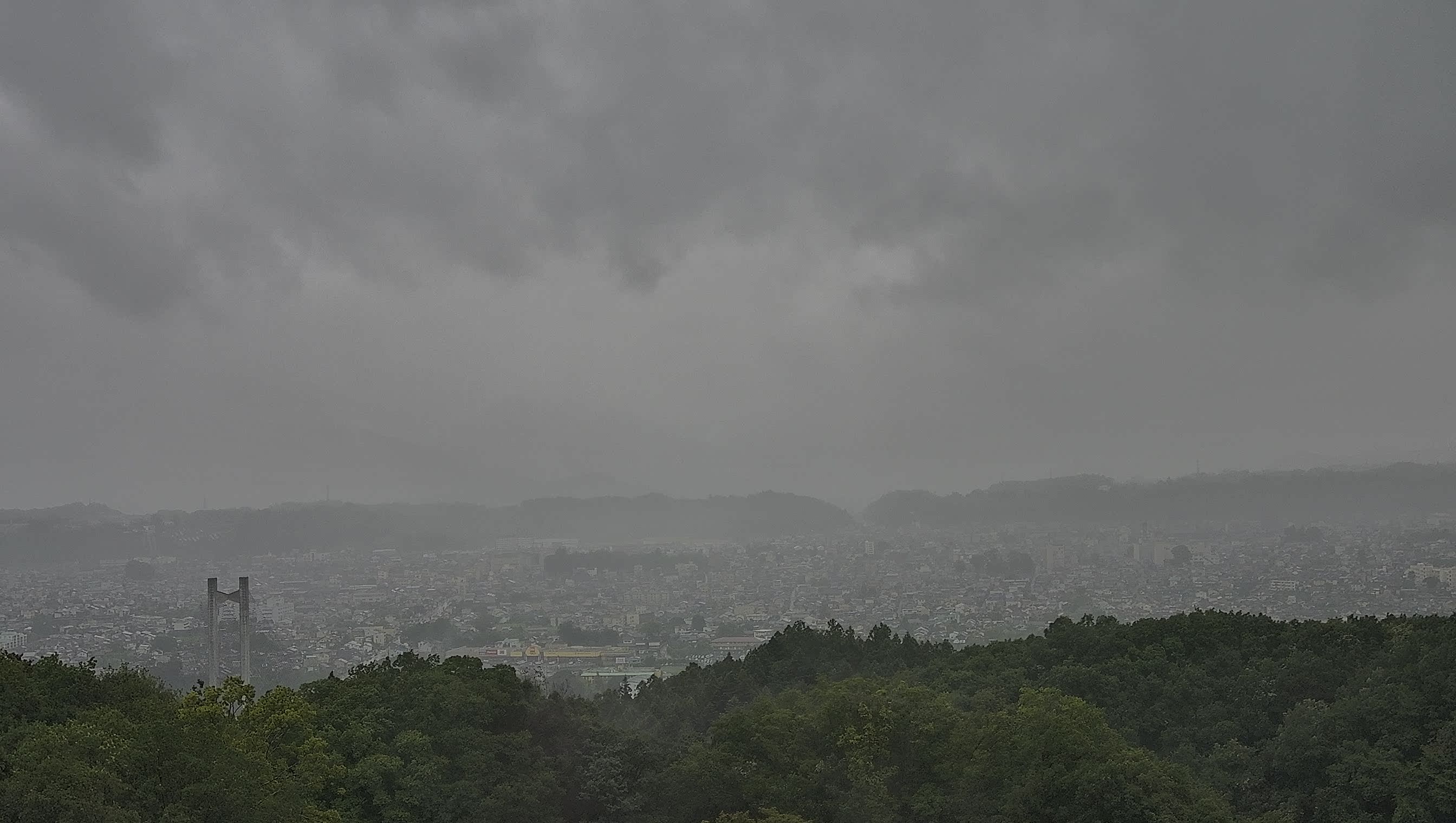 秩父雲海カメラ 2026/08/12 08:57