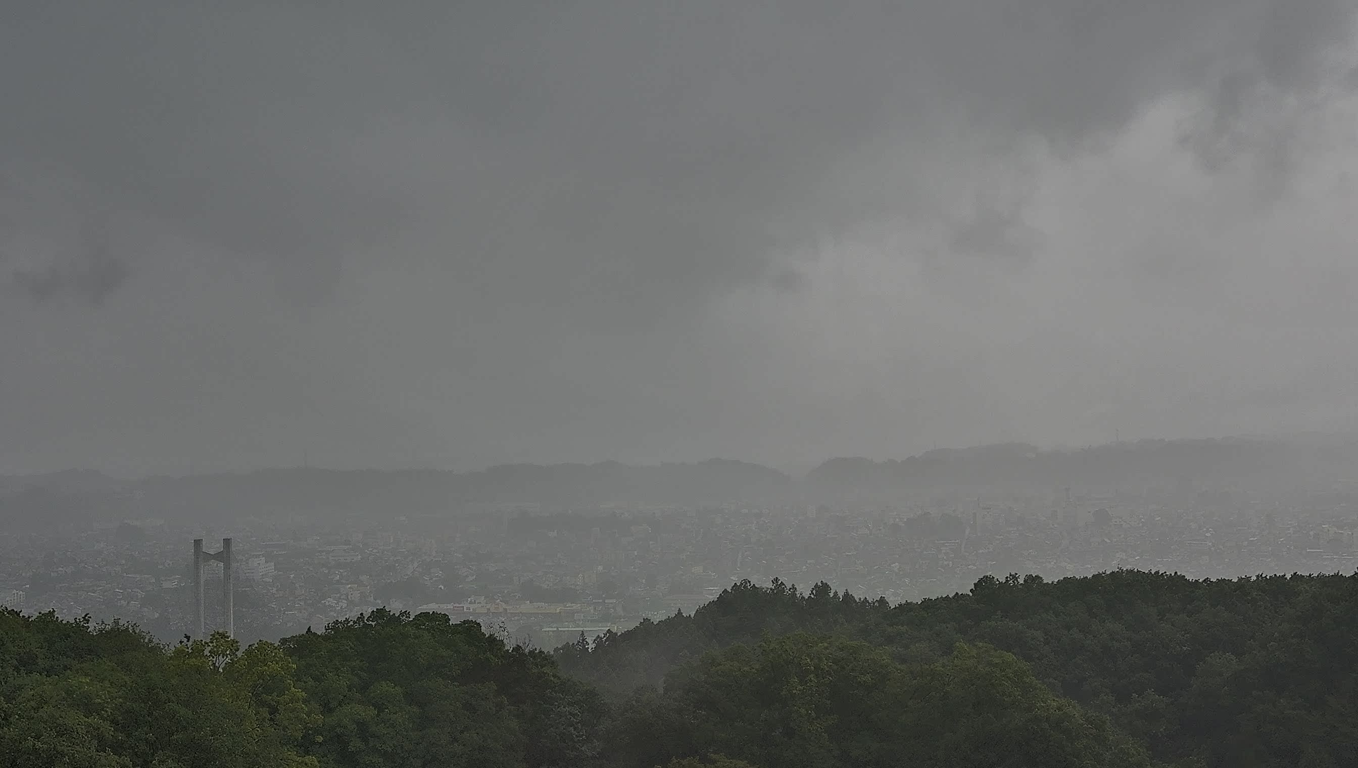 秩父雲海カメラ 2026/08/12 09:02