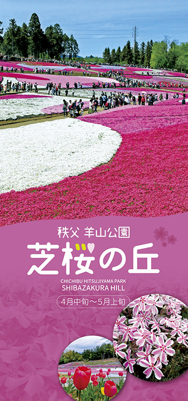 芝桜の丘（羊山公園） | 秩父観光なび