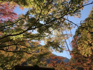 大血川渓谷（金蔵落し）