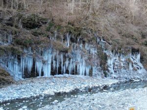 大滝・三十槌の氷柱の画像