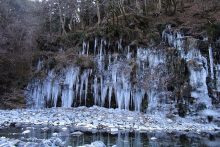 大滝・三十槌の氷柱の画像
