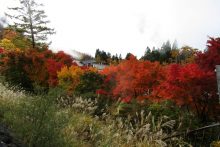 三峰山紅葉の画像