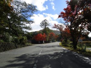 三峰山紅葉の画像