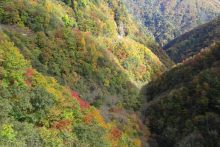 滝川渓谷紅葉の画像