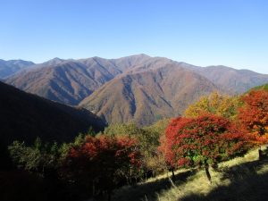 三峰山周辺の紅葉