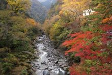 三峰登竜渓の紅葉