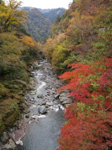 三峰登竜渓の紅葉