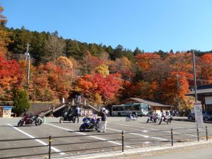 三峯神社周辺紅葉