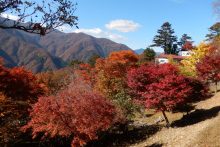 三峯神社周辺紅葉
