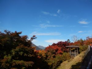 三峯山周辺紅葉