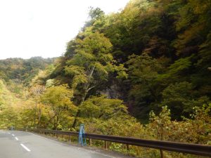 中津峡紅葉2024年