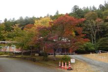 三峰山周辺紅葉2024年