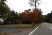 三峰山周辺紅葉2024年