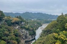 白川橋紅葉2024年